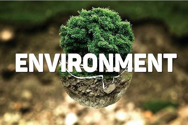 Từ vựng Tiếng Anh IELTS theo chủ đề Environment Từ vựng Tiếng Anh IELTS theo chủ đề Environment